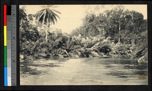 Small river flowing between forested banks, Congo, ca.1920-1940