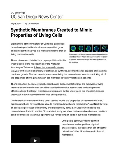 Synthetic Membranes Created to Mimic Properties of Living Cells