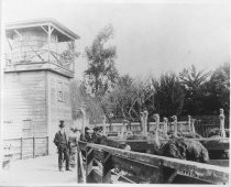 Ostrich Farm on Alum Rock Ave. c. 1904