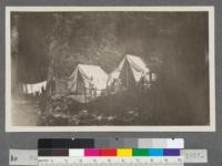 Faculty tents Summer Camp, Meadow Valley, 1917