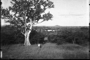 View of a plain, Shilouvane, South Africa, ca. 1901-1907