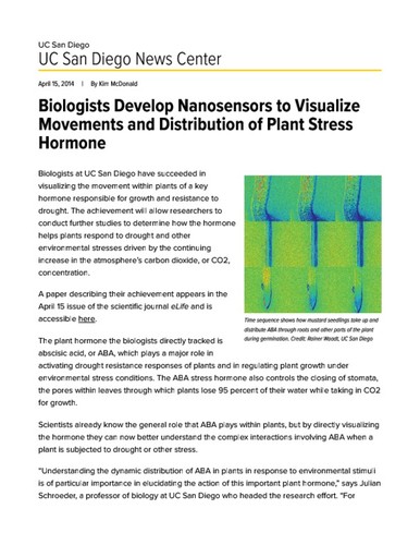 Biologists Develop Nanosensors to Visualize Movements and Distribution of Plant Stress Hormone