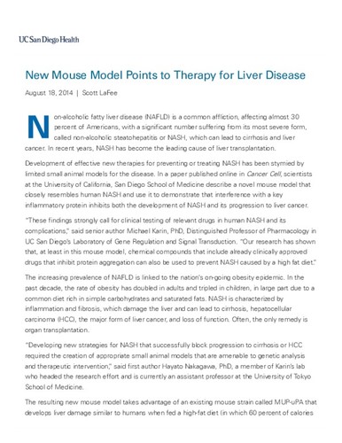 New Mouse Model Points to Therapy for Liver Disease