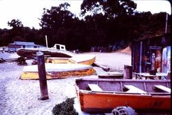 Old beached boats at Bodega or Tomales Bay, 1975