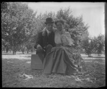 Married couple embracing in orchard