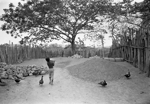 A young boy carries a boulder, San Basilio de Palenque, 1977