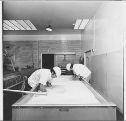 Cheese making at the Sonoma Cheese Factory, Sonoma, California, 1972