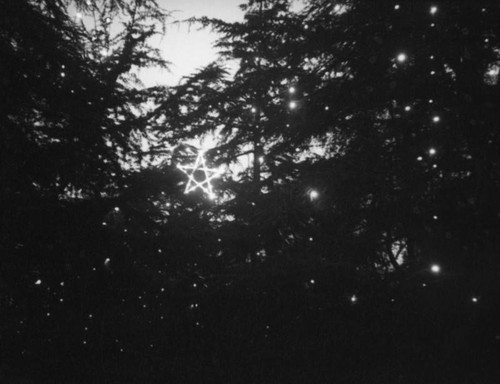 Star through branches on Christmas Tree Lane