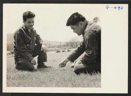 Pfc. James Oshiro and Pvt. Shuichi Tengan playing a game of mumbly-peg. Both boys, wounded while overseas with the 100th Battalion, are patients at the Moore General Hospital. Photographer: Van Tassel, Gretchen Swannanoa, North Carolina