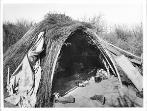 Apache Indian "Kan" or brush house, ca.1900
