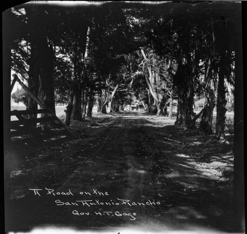 A road on the San Antonio Rancho. Gov. H.T. Gage