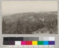 View from the Mt. Bielawski lookout tower in the Santa Cruz Mtns. This cooperative tower of the State Board of Forestry gives detective service to large areas in Santa Cruz, Santa Clara, and San Benito counties. October 1924