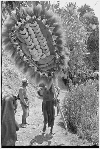 Bride price ritual: man carries payment banner of feather and shell valuables, followed by others from the groom's group