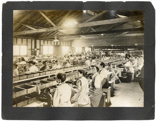 Women working in a fruit cannery, Sunnyvale, California