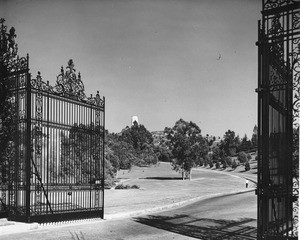 Entrance to Forest Lawn Memorial Park through wrought-iron gates surrounded by landscape