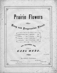 Summer is coming : rondo : Prairie flowers No. 1 / Karl Merz
