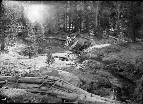 Meadow studies, showing 3 levels of successive erosion in Quartz Creek at lower end of Williams. remarks: Figure 176 Armstrong Report. Light leak