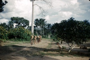 Tikar women, Bankim mission, Adamaoua, Cameroon, 1953-1968