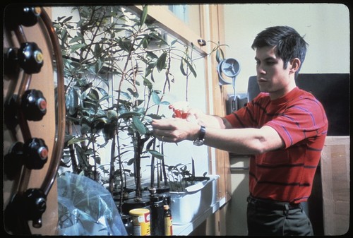 Student with plant experiment
