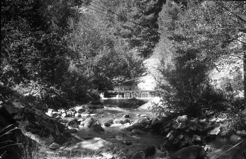 In Jim Crow Canyon, Downieville, Sierra County, California, SV-1239