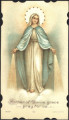 Mother of Divine grace pray for us