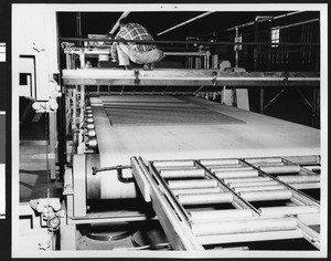 Industry scene at the American Latex Products Corporation, ca.1950