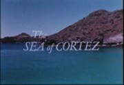Isles of Cortez/Sea of Cortez: Scientific Expedition Parts I and 2