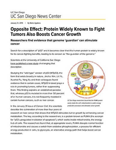 Opposite Effect: Protein Widely Known to Fight Tumors Also Boosts Cancer Growth