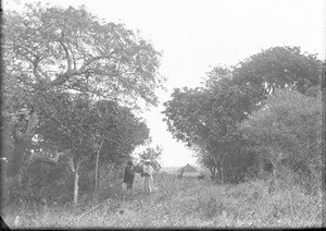 Henri Alexandre Junod on a walk with his wife, Ricatla, Mozambique, ca. 1896-1911