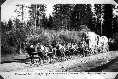 Eight Horse Team and Three Freight Wagons