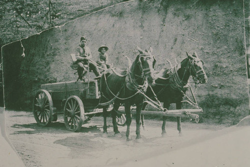 Marquez Family members in horse and wagon at the Santa Monica Canyon waterhole