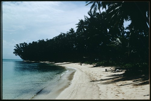 Coastal landscape
