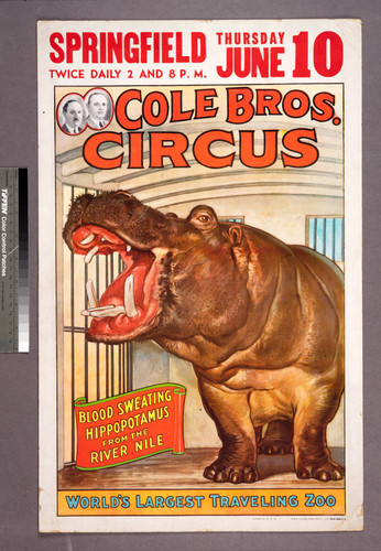 Cole Bros. Circus : blood sweating hippopotamus from the river Nile : world's largest traveling zoo