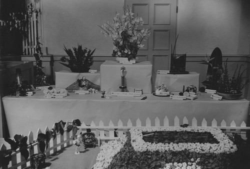 Display at Minerva Club flower show, 1940