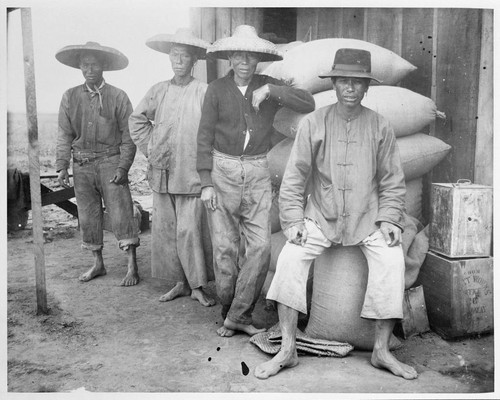 Chinese field hands 1898