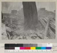 Base of a reserve tree after slash burning. Slash had been pulled away 2-3' from bases of reserve trees. See also 5803-8. May 1935. E.F