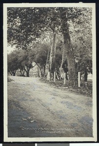 View of driveway in front of the hotel, San Luis Hot Sulphur Springs (aka. SLHSS), San Luis Obispo County, California, ca.1900