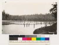 Reservoir showing selectively logged sugar pine, yellow pine, Douglas fir type. Second growth is in the 40-60 year age class. Site 175. Placer County