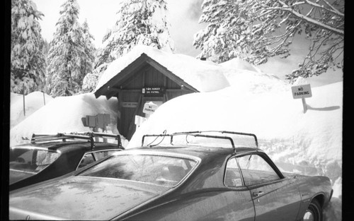 Winter Scenes, Wolverton in deep snow. Vehicular Use