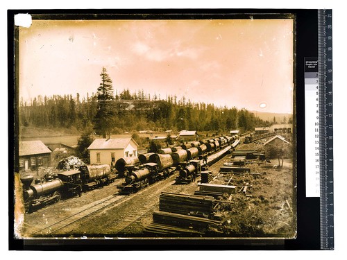 Among the Redwoods/Escelsior Redwood Co., 24 logs, 136804 FT. [Freshwater - Excelsior Red. Co. - train of logs/unknown]