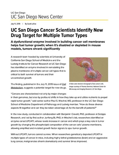 UC San Diego Cancer Scientists Identify New Drug Target for Multiple Tumor Types