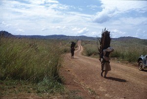 Carrying fire wood, the Belel Road, Adamaoua, Cameroon, 1953-1968