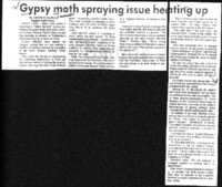 Gypsy moth spraying issue heating up