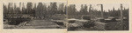 [Lumberyard and sawmill, 1913] (3 views)