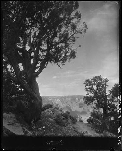 Grand Canyon, Arizona, 1925