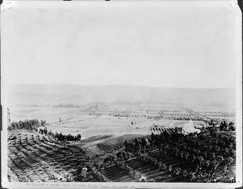 South from Krotona Hill, 1900