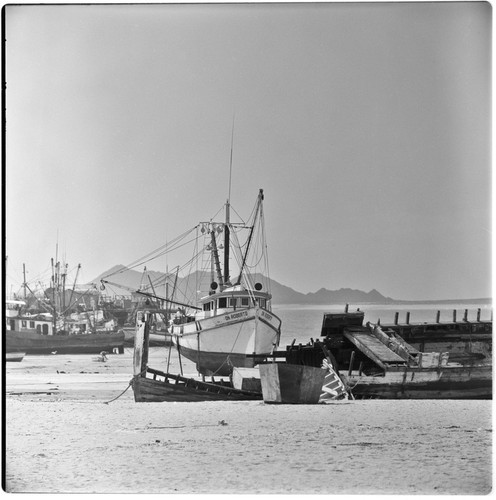 Shrimp boats at Puerto Peñasco