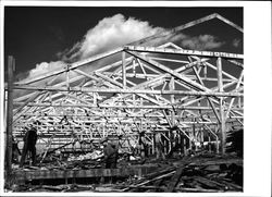 Wrecking the Sebastopol Apple Growers Union packing house for construction of new Veterans Memorial Building