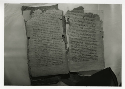 Codex XI, opened at pages 62-63