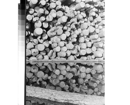 Log Deck